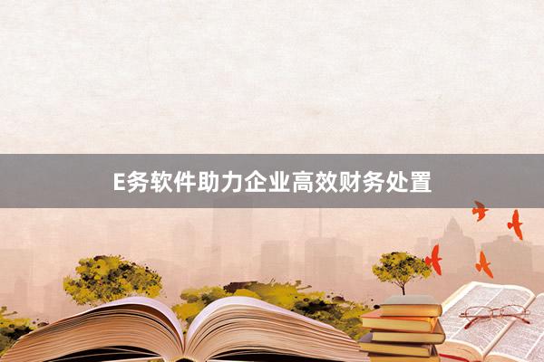 E务软件助力企业高效财务处置