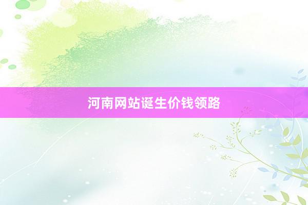 河南网站诞生价钱领路